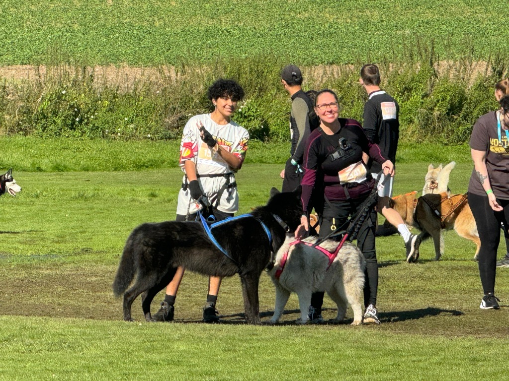 bfca03fb-d895-4f3d-b7ec-c9d357871f73
